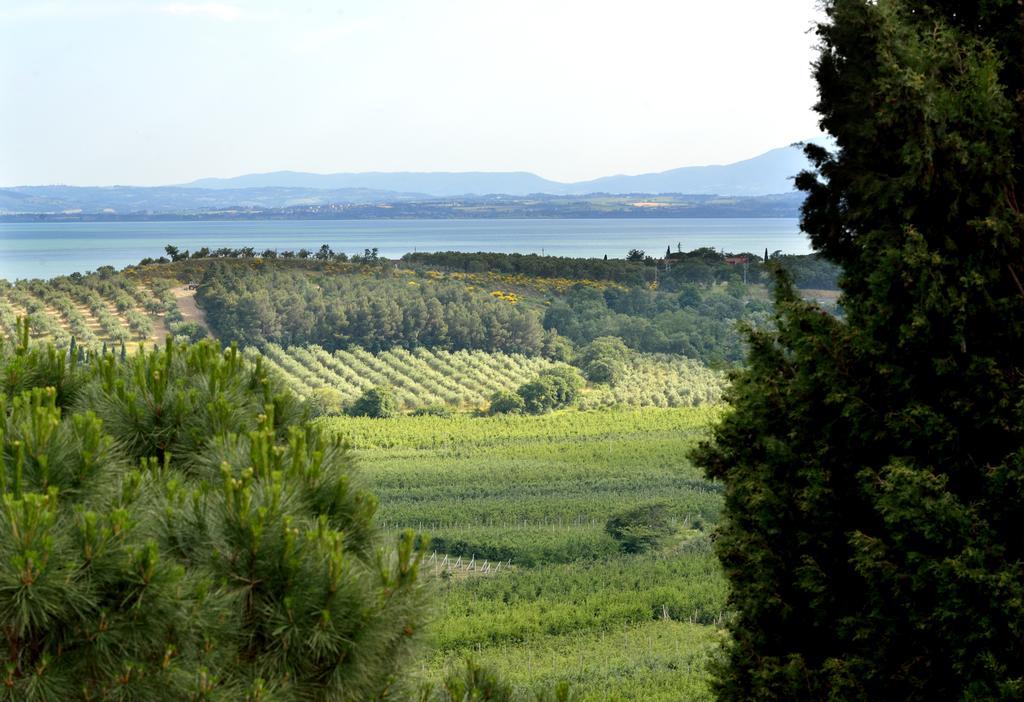 Vila Agriturismo San Severo Passignano sul Trasimeno Exteriér fotografie